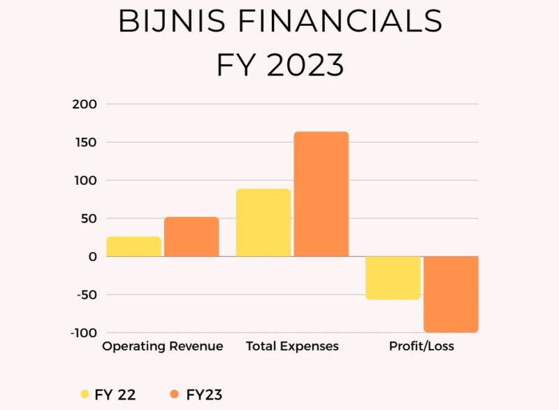 Graphics of Bijnis Financials FY 23